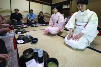 Two tea masters and participants at tea ceremony, traditional ambiance, Kyoto, Higashiyama, Japan