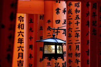 Torii avenue at Fushimi Inari Shrine in Kyoto with red arches, Kyoto, Japan