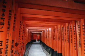 Seemingly endless torii avenue at Fushimi Inari Shrine, Kyoto, Japan
