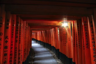 Endless looking avenue of bright red torii at Fushimi Inari Shrine in Kyoto, Kyoto, Fushimi, Japan