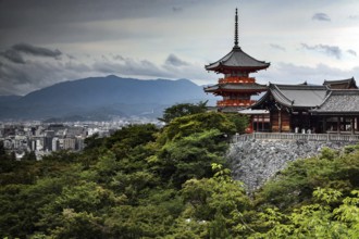 Kiyomizu temple and pagoda with views of green hills in Kyoto, Kyoto, Kansai, Japan