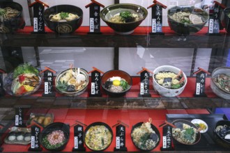 Shop window with a variety of Japanese dishes in Kyoto, Gion, Kyoto, Japan