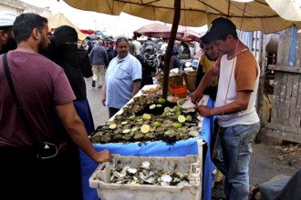 A man sells seafood at a market stall in Essaouira, Essaouira, Morocco
