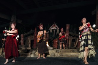 Group of Maori wearing traditional dress at a dance performance on stage in Rotorua, Rotorua, Bay