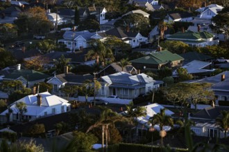 Devonport residential area with single-family homes and green surroundings, Auckland, null, New