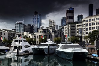 Yachts in Viaduct Harbour in front of the impressive skyline of Auckland, Auckland, region, New