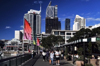 View of Auckland CBD from Viaduct Harbour under clear skies, Auckland, region, New Zealand