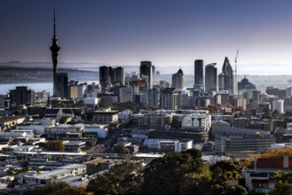 View of the Auckland skyline from Mt Eden with the sea in the background, Auckland, New Zealand