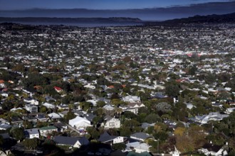 View from Mt Eden over a residential area overlooking the harbor, Auckland, New Zealand