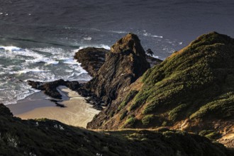 Impressive coastline with rocks and Pohutukawa tree near Cape Reinga, Cape Reinga, New Zealand