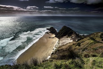 Cape Reinga coast with cliffs and surging ocean, fringed by Pohutukawa trees, Cape Reinga,