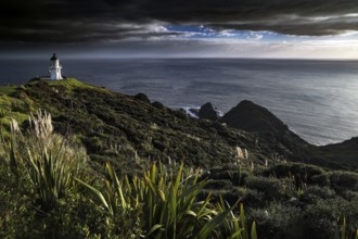 Lush coastal landscape near Cape Reinga with lighthouse and cloudscape, Cape Reinga, Northland, New