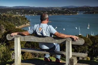 A man is sitting relaxed on a bench and enjoying the view of the Bay of Islands, Maiki, Bay of