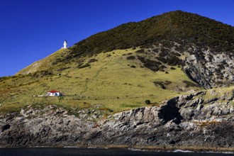 A lighthouse stands on a green hill overlooking the coastline of Cape Brett, Cape Brett, Bay of