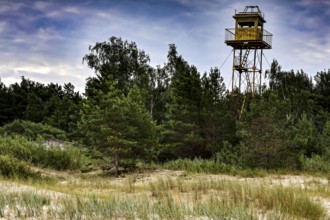 Wooden watch tower on dunes surrounded by trees and sand under cloudy sky, Mazirbe, Latvia