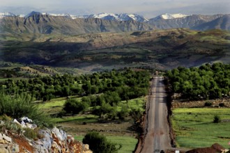 Panoramic view of a road leading through the green landscape of the High Atlas Mountains, Azilal,