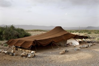 A traditional Bedouin tent made of brown fabric in the desert, Beni Tajite, Morocco