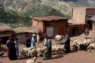 Market day in Achaouikh with people and sheep in front of picturesque mountain scenery, zero