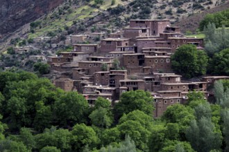 Traditional village in the High Atlas with terraced houses and green trees, zero