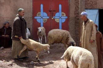 Market scene in Achaouikh with men and sheep in front of a colorful gate, zero