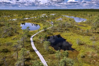 Extensive marshland with several lakes and a wooden plank trail, Kemeri National Park, Latvia