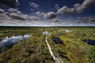Wooden trail leads through green marshland with water areas under dramatic sky, Kemeri National