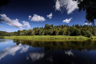 Tranquility of the Gauja with reflecting water surface and green surroundings, Ligatne, Gauja