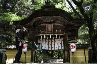 Small shrine in the green forest of Kotohira, Kotohira, Japan