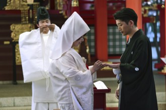 Newlyweds exchange rings during a Shinto ceremony at the shrine, Kobe, Hyogo, Japan