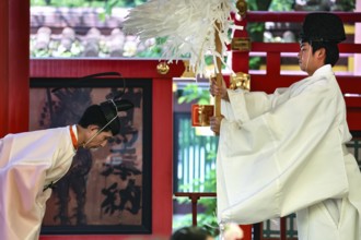 Shinto priest performs traditional ceremony at shrine, Kobe, Hyogo, Japan