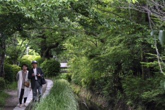 People walking on the Philosopher's Trail in Kyoto, Kyoto, Okazaki, Japan