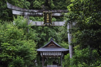 Otoyo shrine with torii along the Philosopher's Trail in Kyoto, surrounded by lush nature, Kyoto,