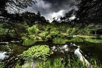 Lush garden with water areas and rich plant life in the pond, Kyoto, Okazaki, Japan