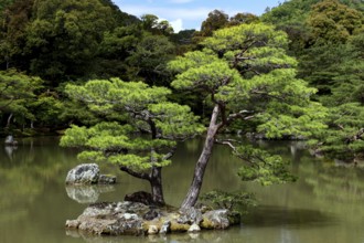 Pond nestled in the landscape in front of the golden Kinkakuji Temple in Kyoto, Kyoto, Japan
