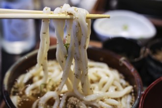 Smoking udong noodles are pulled out of a bowl with chopsticks, Okazaki, Kyoto, Japan