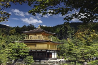 Kinkaku-ji Golden Pavilion in Kyoto surrounded by nature, Kyoto, Japan