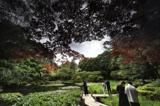 People on a zigzag bridge in a colorful autumn garden, Kyoto, Okazaki, Japan