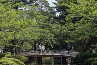 Traditional wooden bridge in Kenrokuen surrounded by green foliage and pond, Kanazawa, Japan
