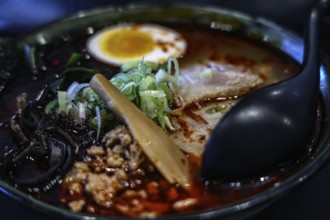 Fresh ramen served with egg and scallions in a rich broth, Kawaguchi, Japan