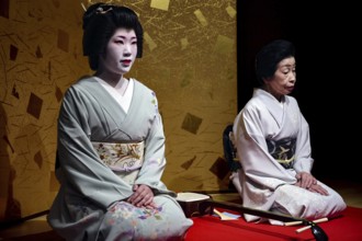 Two geishas sit next to each other in the Nishi Chaya tea house district in Kanazawa, Kanazawa,