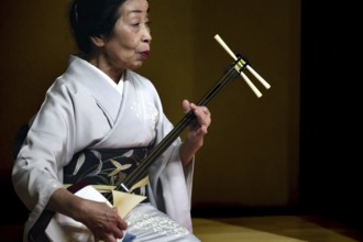 Senior geisha plays Shamisen in the Nishi Chaya tea house district in Kanazawa, Kanazawa, Ishikawa,