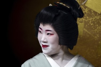 Portrait of a geisha in the Nishi Chaya tea house district in Kanazawa, Kanazawa, Ishikawa, Japan