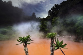 Steam rises over the red water of Chinoike Jigoku in Beppu, Beppu, Kyushu, Japan