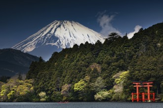 The distinctive torii of Hakone-jinja shrine in front of imposing Fujiyama, Hakone, Japan