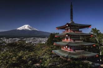 Chureito Pagoda with a view of Mount Fujisan in the morning light in Fujiyoshida, Fujiyoshida,