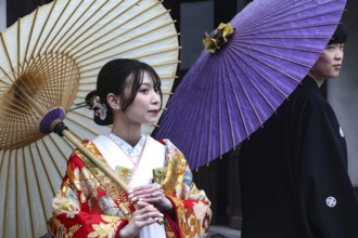 A traditionally dressed couple wearing Japanese umbrellas at a photo shoot, Himeji, Hyogo, Japan
