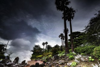 Palm trees contrasting with dark, cloudy sky with lush greenery, Beppu, Oita, Japan