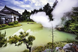 White plumes of steam over the green water of Shiraike Jigoku in Beppu, Beppu, Kyushu, Japan