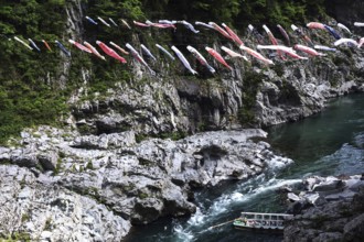 Lots of colorful fabric carps decorate the air above a river in a rocky landscape, Iya, Japan
