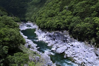 Clear river flows between steep rocks and dense forest in the valley, Iya, Japan